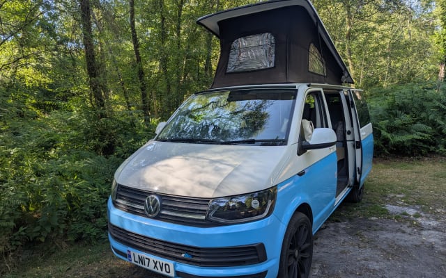 Rental - Campervan - null - #90865