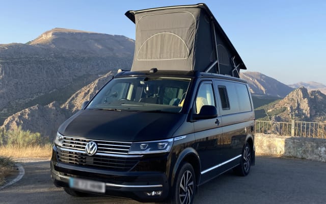 Rental - Campervan - null - #94041