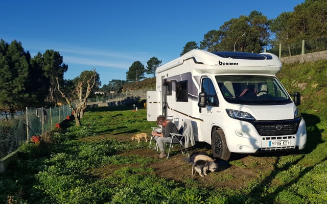 Alquiler - Autocaravana Perfilada - null - #44922