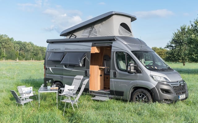 Alquiler - Camper gran volumen - null - #44256
