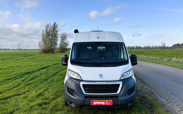 Boeking - Camper - null - #93071