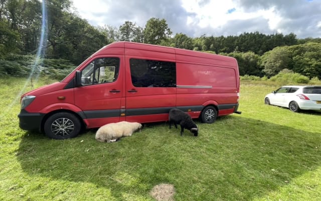 Rental - Large campervan - null - #98204