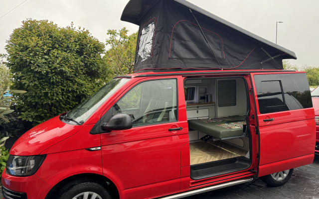 Rental - Campervan - null - #95182