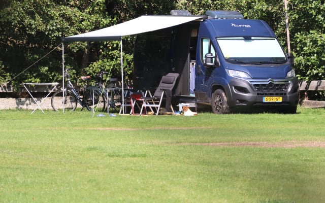 Boeking - Buscamper - null - #72459