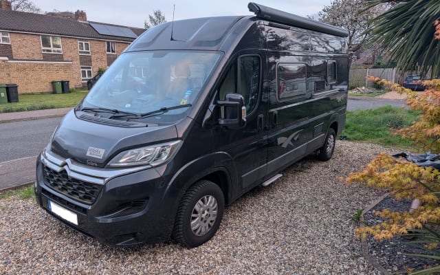 Rental - Campervan - null - #92050