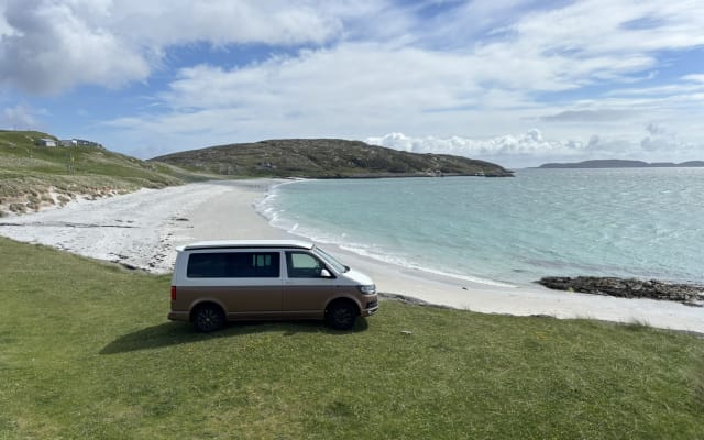 Rental - Campervan - null - #71059