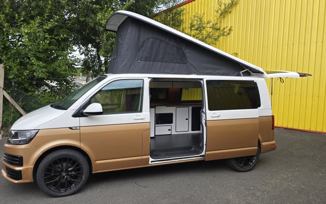 Rental - Campervan - null - #91660