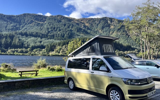 Rental - Campervan - null - #92750