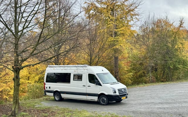 Prenotazione - Furgonato - null - #93098