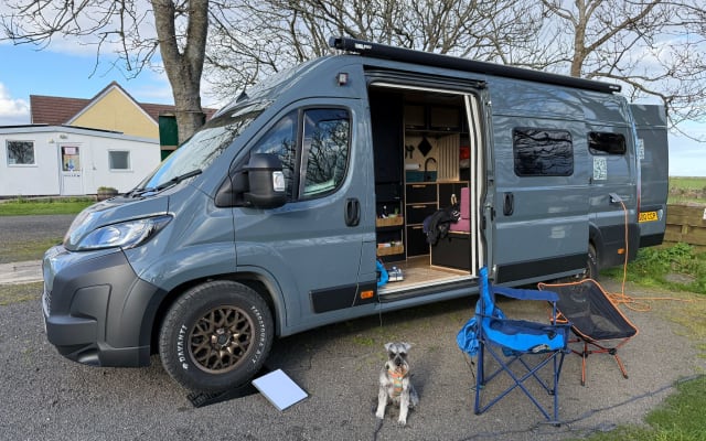Rental - Campervan - null - #91026