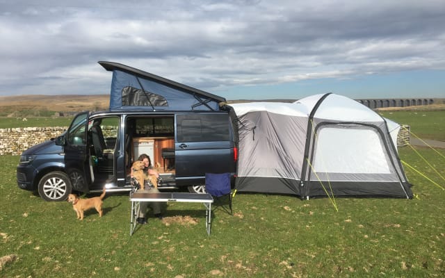 Rental - Campervan - null - #89928