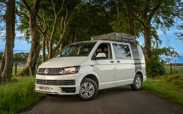 Rental - Campervan - null - #97001