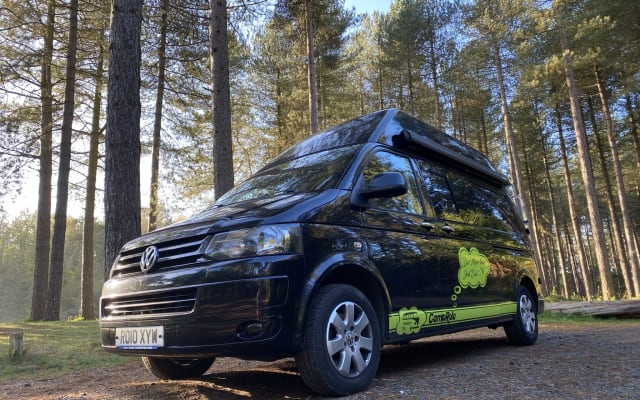 Rental - Campervan - null - #72443