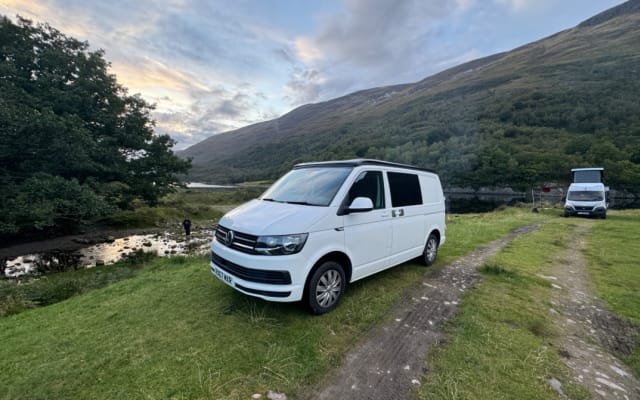 Rental - Campervan - null - #78604