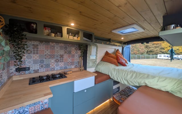 Rental - Campervan - null - #98588