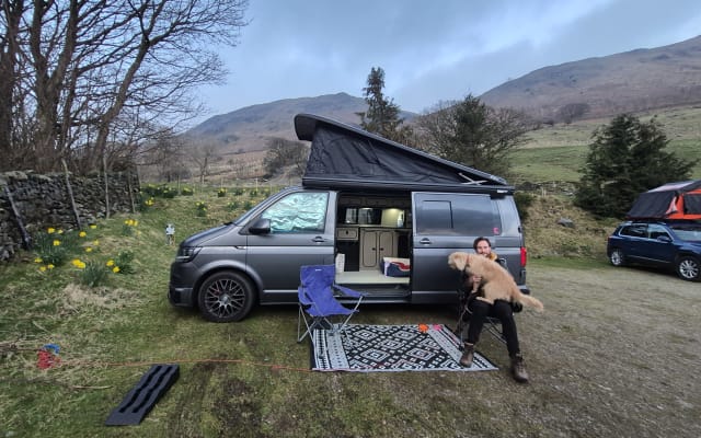 Rental - Campervan - null - #85990