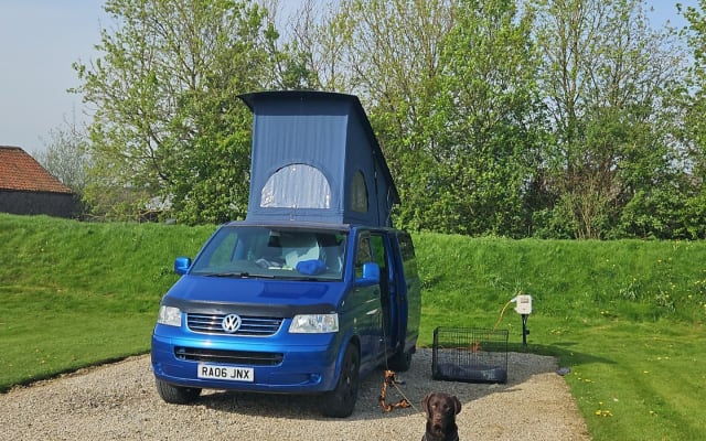 Rental - Campervan - null - #78472