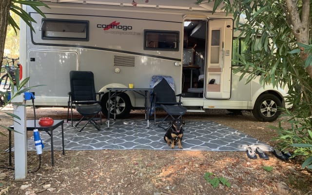 Location - Camping-car Intégral - null - #89986