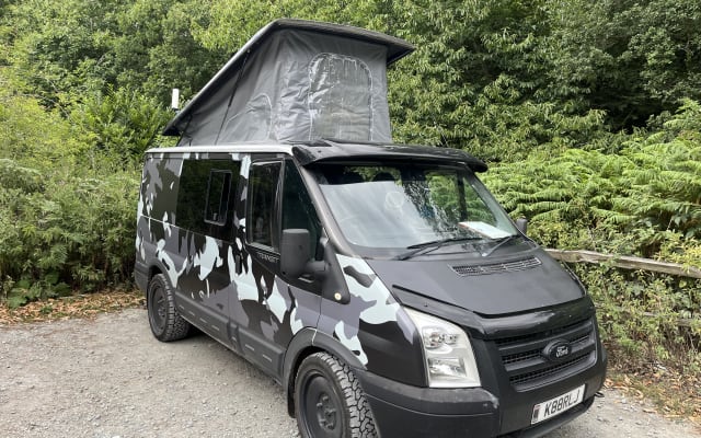 Rental - Campervan - null - #99069