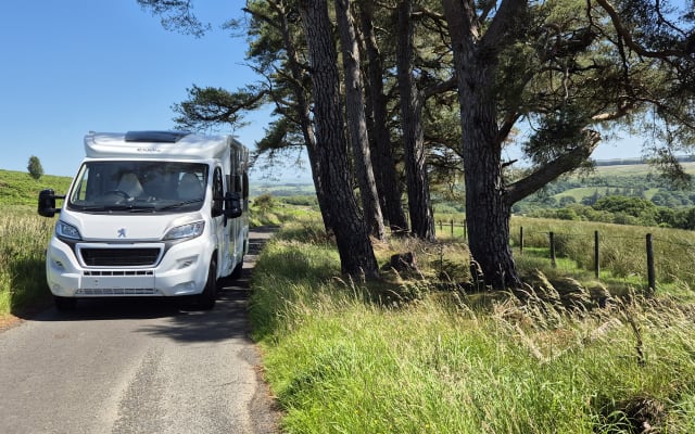 Rental - Low profile motorhome - null - #95350