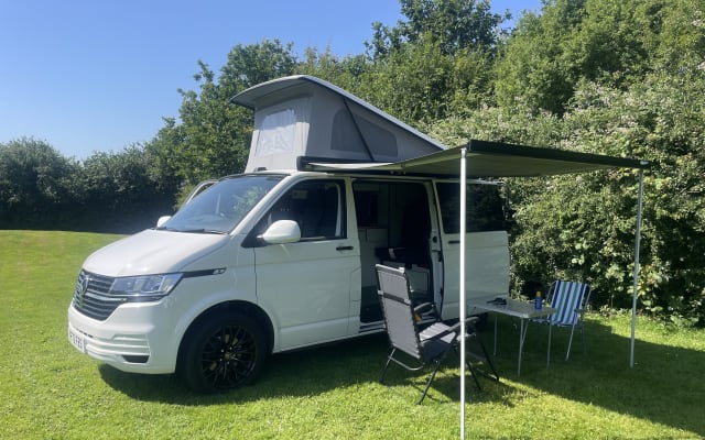 Rental - Campervan - null - #97914