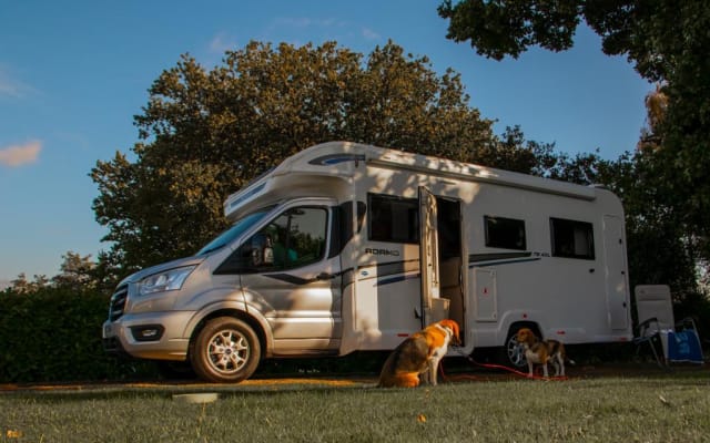 Rental - Low profile motorhome - null - #69745