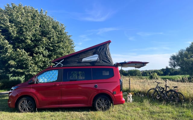 Vermietung - Campingbus - null - #98978