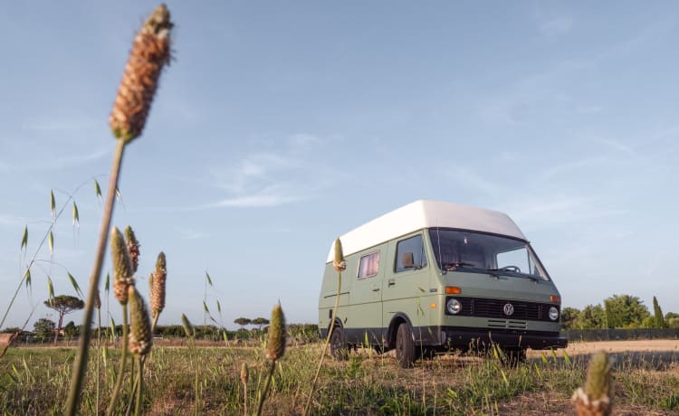 Volkswagen LT31