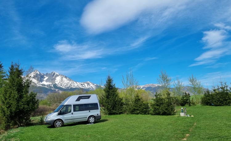 Bop – Ford Nugget mit Hochdach