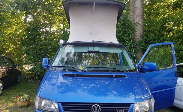 Cheerful Volkswagen camper van with lifting deck and pull-out bed for 2 people