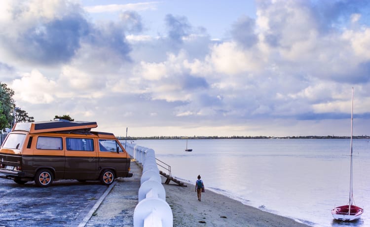 Shultz – Kombi VW T25 T3 5 Personen Van - Insel Oléron - Luftgekühlt