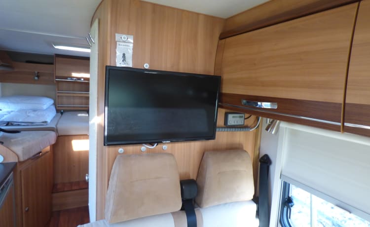 Paradepaard – 3p Hymer integrated uit 2010