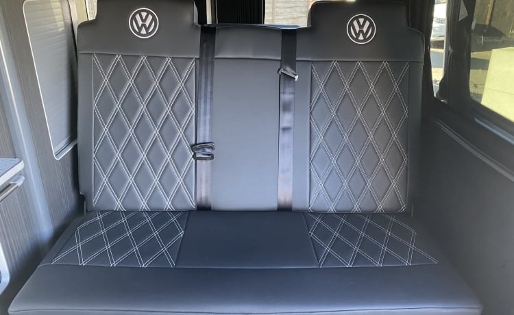 Ivy – Haustierfreundlicher VW-Wohnmobil – MK179HD Milton Keynes