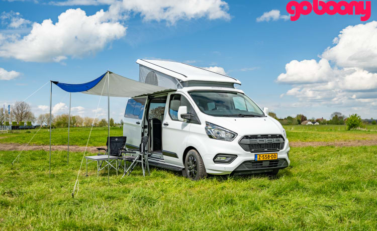 "Kip" Nugget – Ford "Kip" Nugget campervan uit 2024, voor de ideale vakantie! 