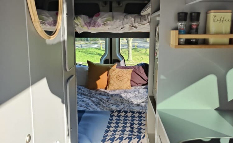 Earl – Family campervan 