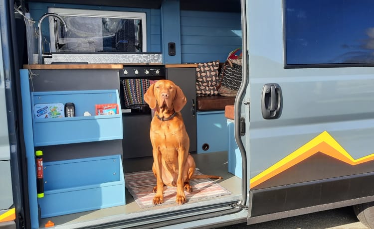 "Bod Campervan" Eclectische luxe, perfect voor twee! (Stafs/N.Wales)