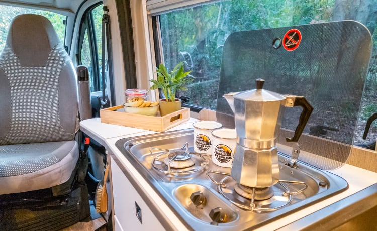 Fijnja – Luxury 4 pers. Pössl bus camper with sleeping lifting roof from 2019