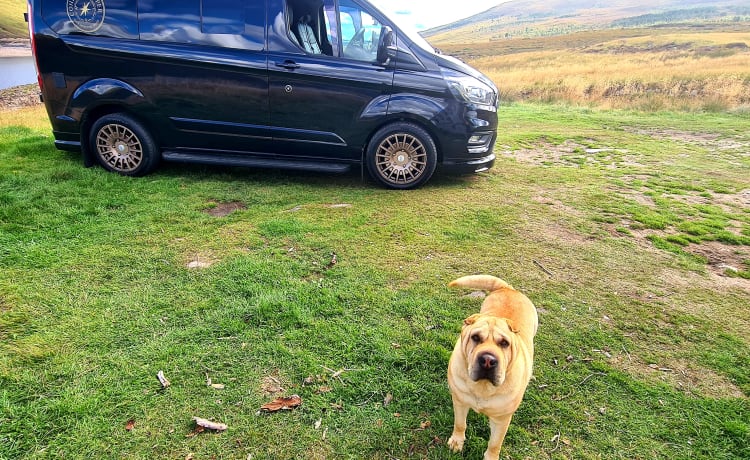 Skye – Ford Transit Custom Limited 4 berth pop top bed