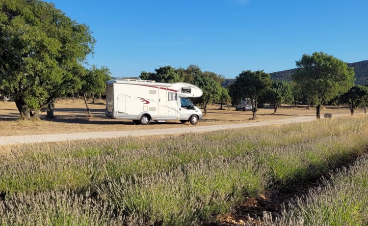 Pluk  – Super cozy 6-person camper! Still available in July :)