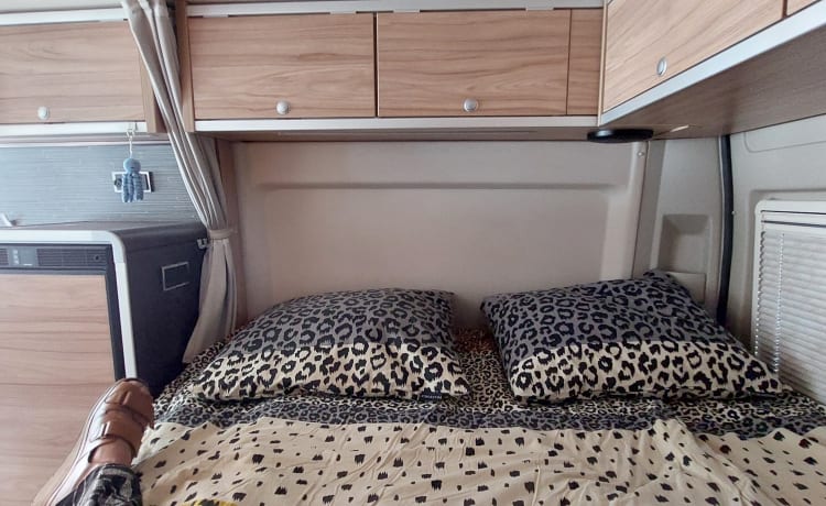 Hymer Grand Canyon bus camper