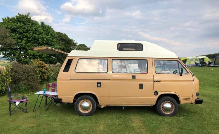 Renton – 1984 VW T25 Autohomes