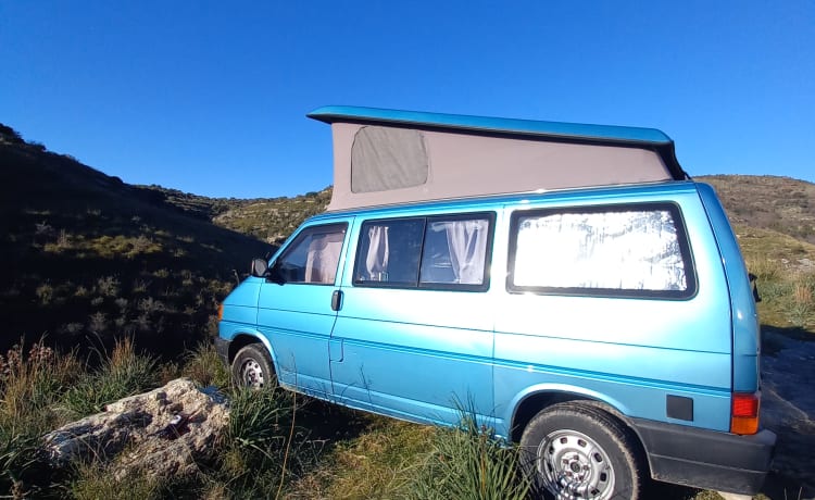 Lizz – Volkswagen T4 Kalifornien