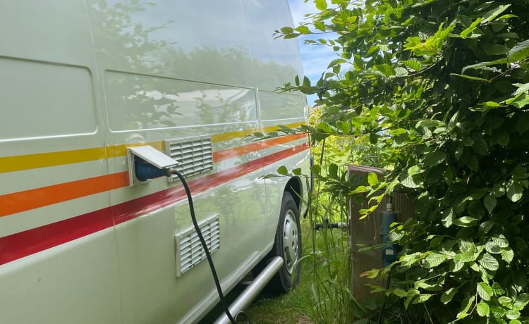 Retro Ronnie – Cozy and spacious (family) bus camper