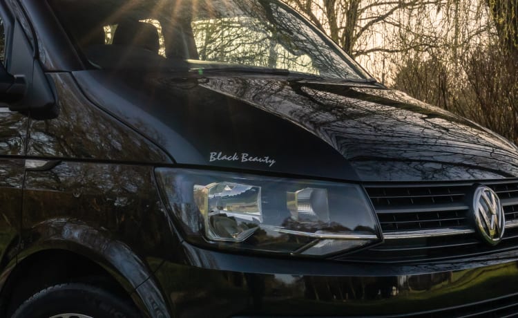 Black Beauty  – Camper Volkswagen T6 Trendline LWB