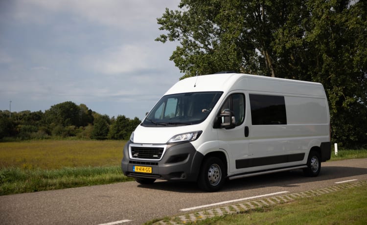 Monty – 2er Peugeot Bus von 2017