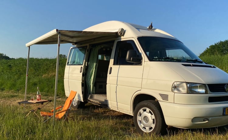 Calimero – The ultimate VW camper for the solo traveler (or duo traveler ;-))