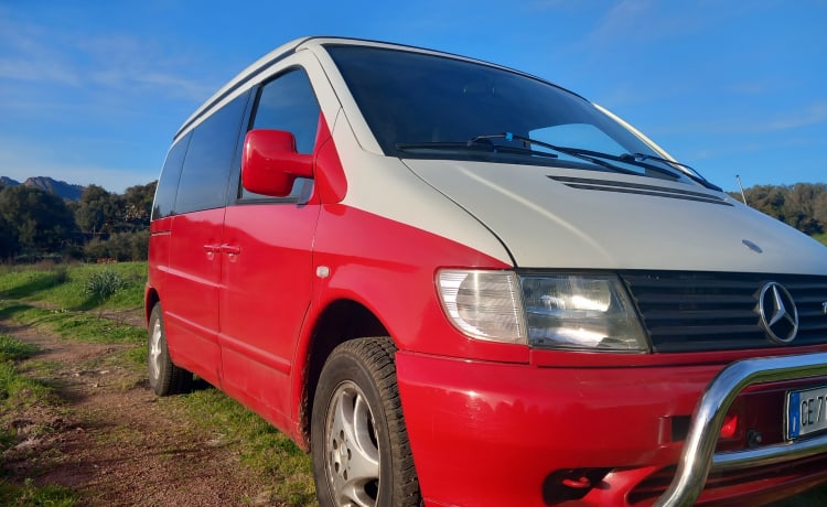 VANTASTIK RENTAL CAMPERVAN – MERCEDES MARCO POLO - VAN GOGH