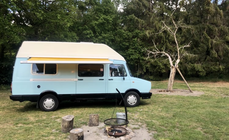 Retro daf – Retro DAF buscamper