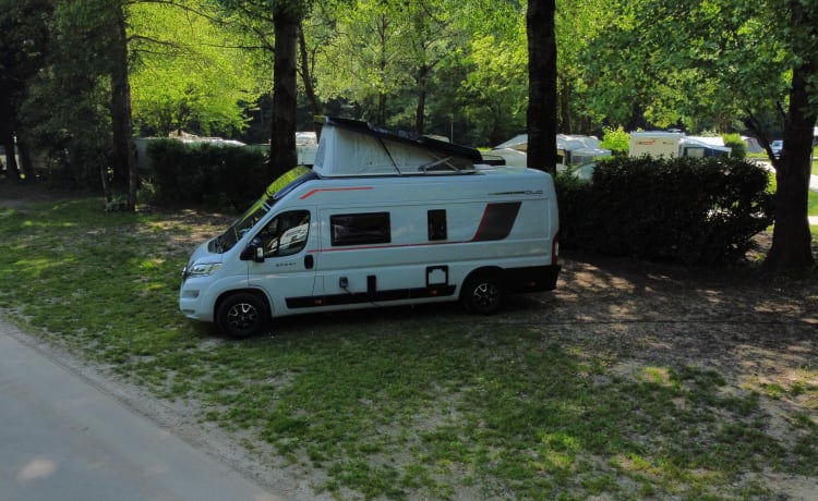 Noleggio camper bus di lusso nuovo di zecca