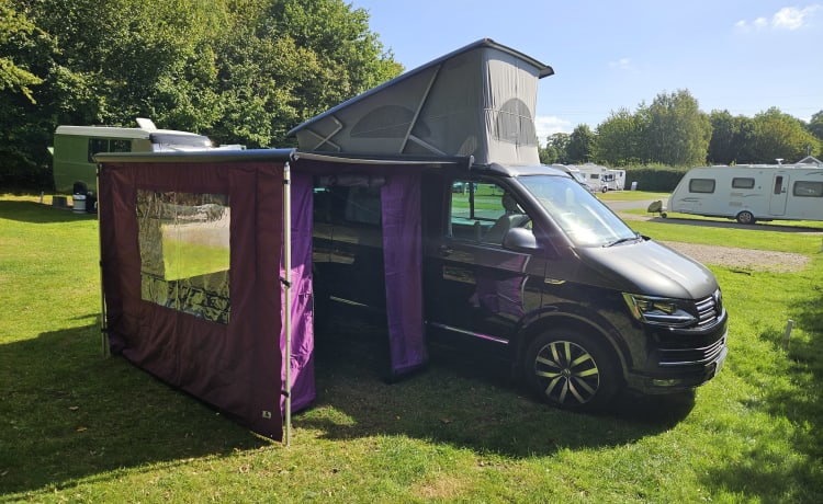 Billy – 4 berth Volkswagen California Ocean 2017